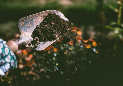 Innovative Gartenlösungen für ein gesundes Zuhause